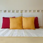 Summer Dream And
