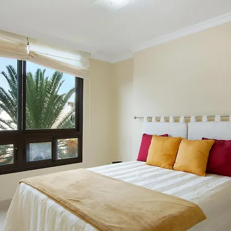 Summer Dream And Apartment Patalavaca
